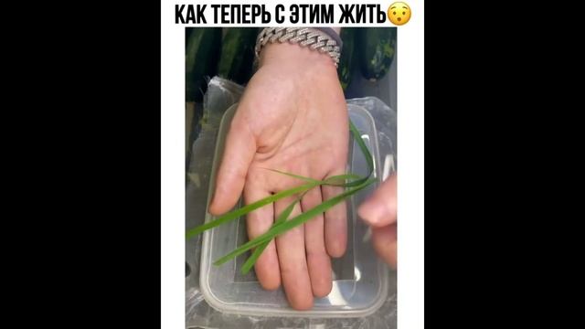 Мега приколы 3