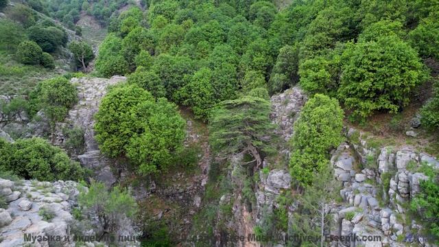 Музыка качает леса, словно волны на море - Above The Mountains -- Kirk Osamayo -- Season Two (RED)