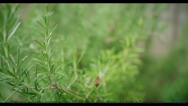 Посмотри на поля под этот саунд - Horsey -- Overhill Ln -- OPULENT