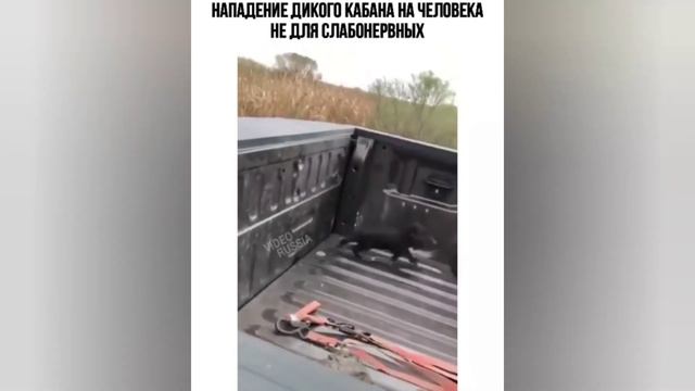 Мега приколы 37