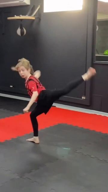 Удары тхэквондо в Dojo Sport  #taekwondo