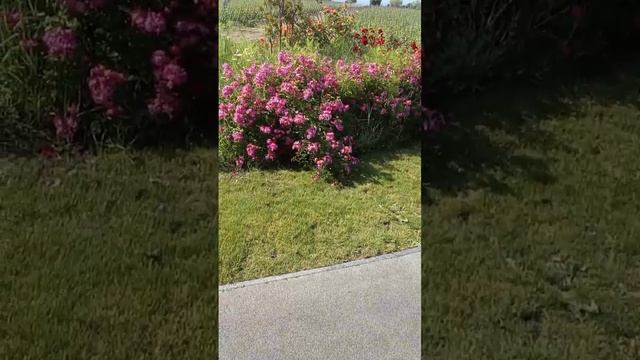 Республика Крым.. Отель Мрия..