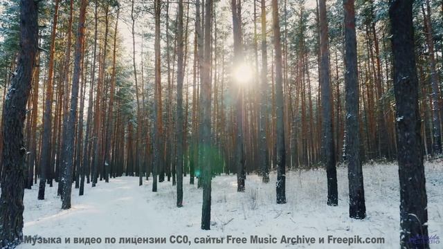 Линии полей и лесов соединяются в одном ритме - Brother -- Derek Clegg -- Stop the Line (10th annive