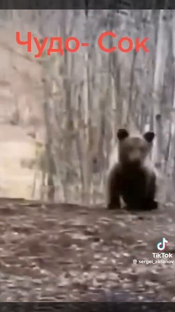 1000001233.mp4