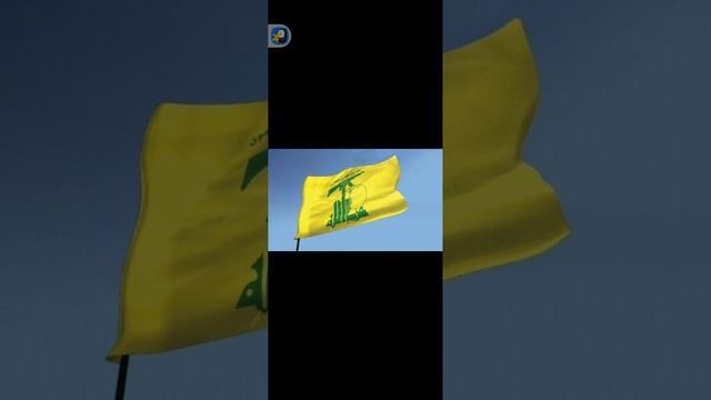 1000030119.mp4