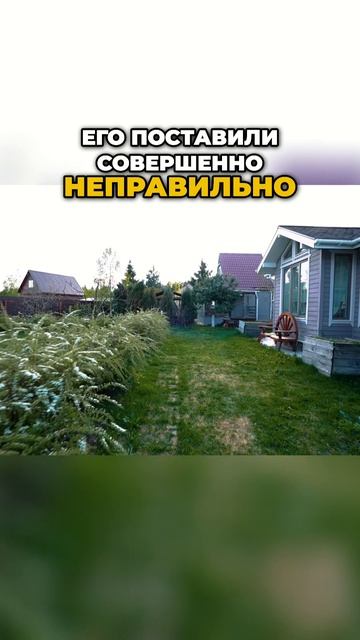 Роза Сябитова: Как Соседи Отобрали у меня 5 соток