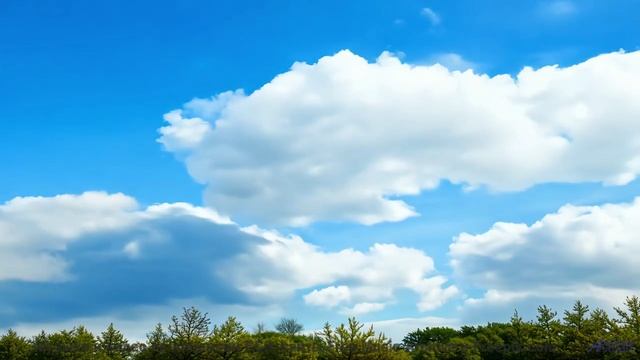Это видео - как лучший момент из самого красивого фильма! - Then I Will Love You Again -- Laetitia S
