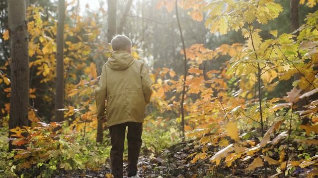 Музыка касается души мягче любого прикосновения - 9 to 5 -- SUPERARE -- I