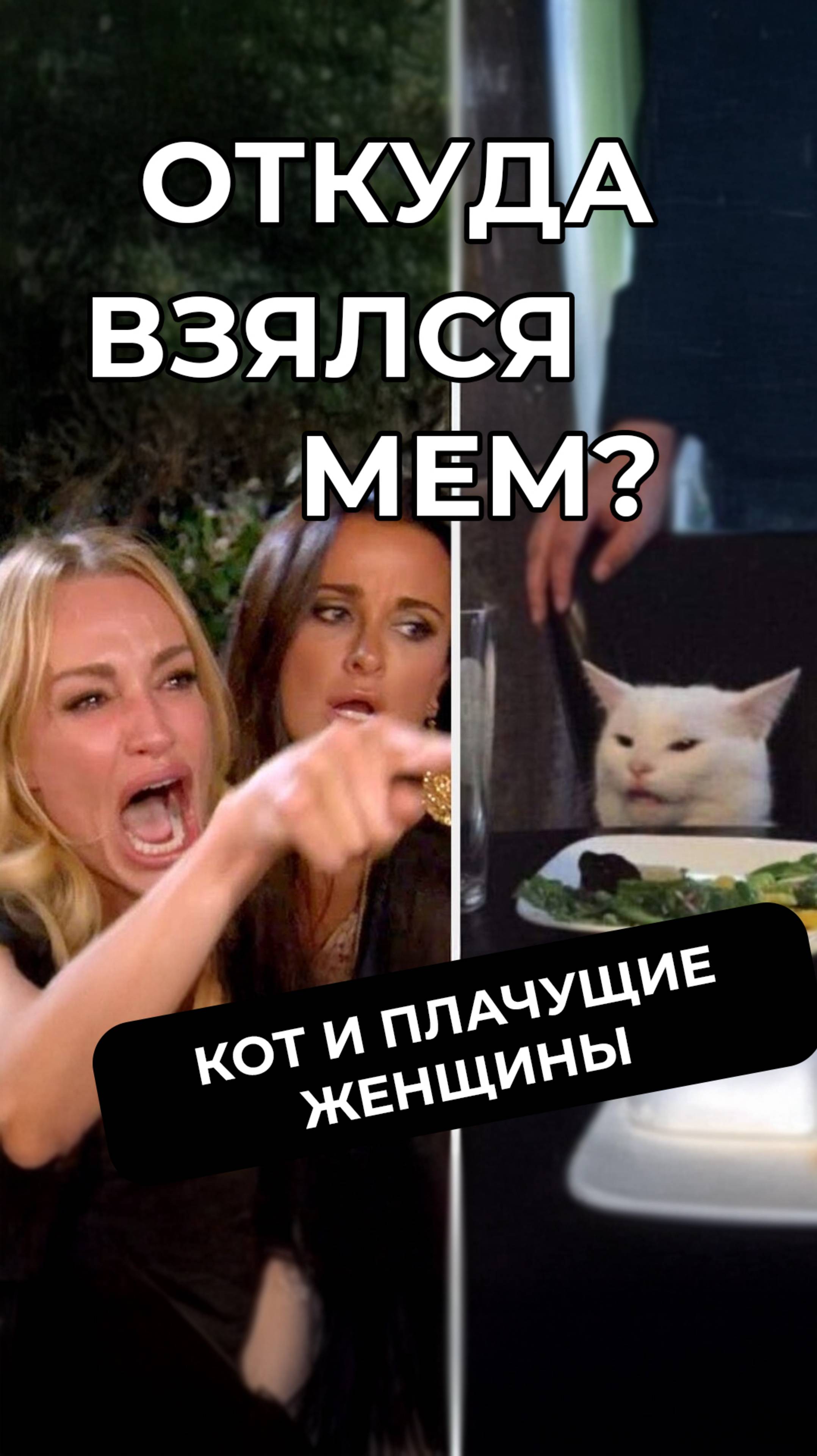 Женщины показывают пальцем в кота: откуда эти кадры #мем #мемы #мемас #топ #memes #юмор #meme