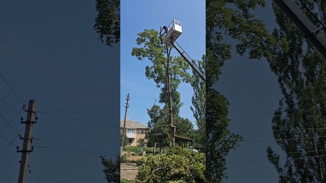 Спил дерева над проводами в Макеевки .mp4