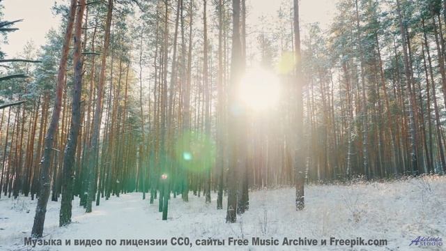 Музыка заставляет смотреть на природу по-другому - Fire Workzer -- New Millennium String Ensemble --