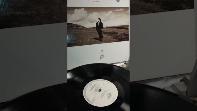 #Tanita #Tikaram #Tanita_Tikaram #Танита #Тикарам #vinyl #shorts