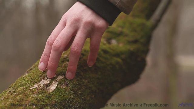 Пейзажи проникают в душу под этот трек - One Man Book  Existence Strategy -- Independent Music Licen