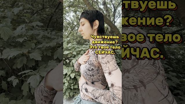 695963cce1f340a8be3479b9d91e792f