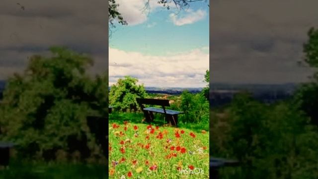 Стихотворение "Гимн Творцу"