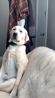 Устал и засыпаю с работы