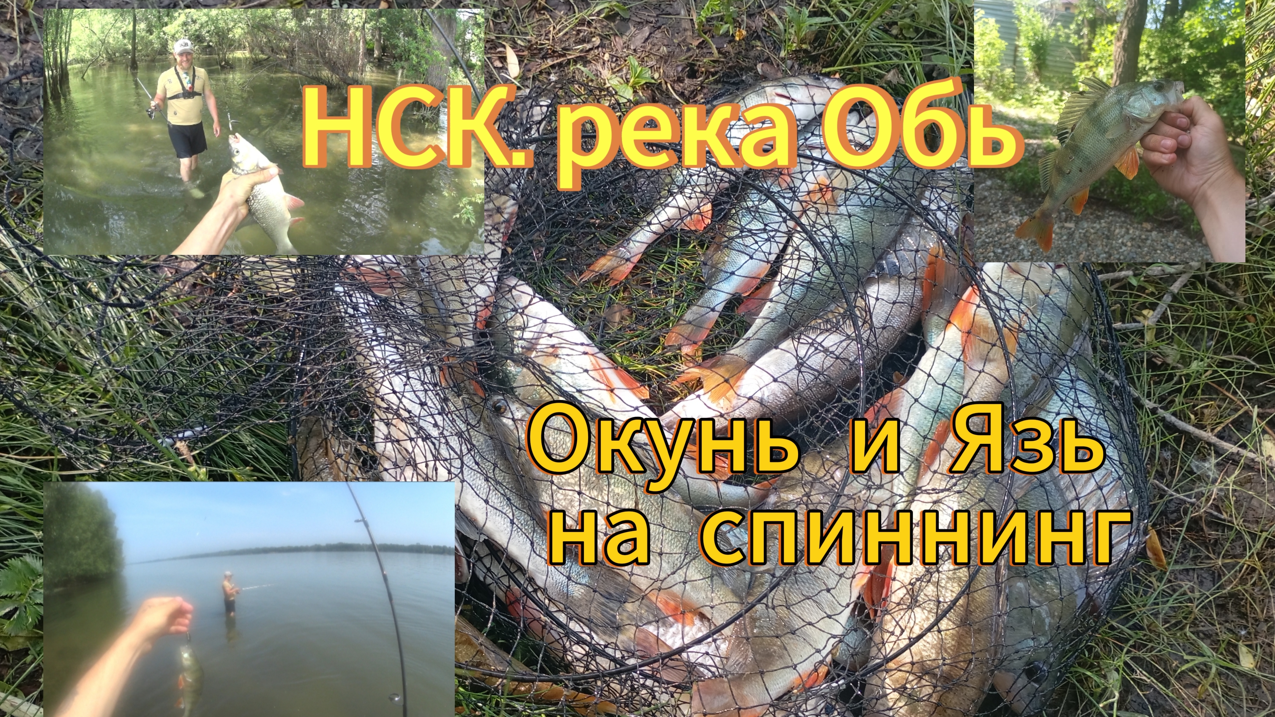 Ловля окуня и язя на спиннинг в чертах города Новосибирск на реке Обь ✌👍👍👍✊