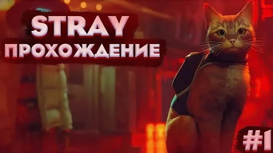 STRAY - Прохождение игры #1