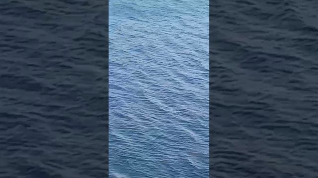 Волшебное море летним днем