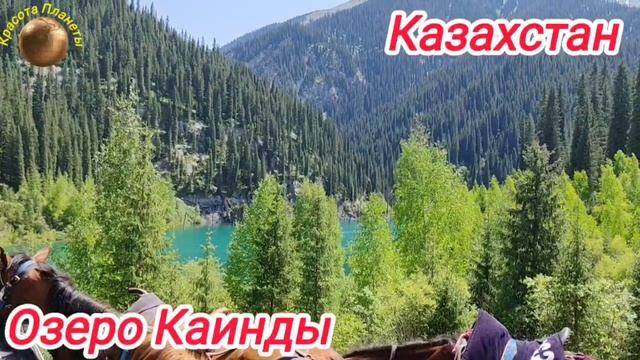 Озеро Каинды - место, где снимали клип "Kieli Meken". Казахстан -Родина Димаша Кудайбергена