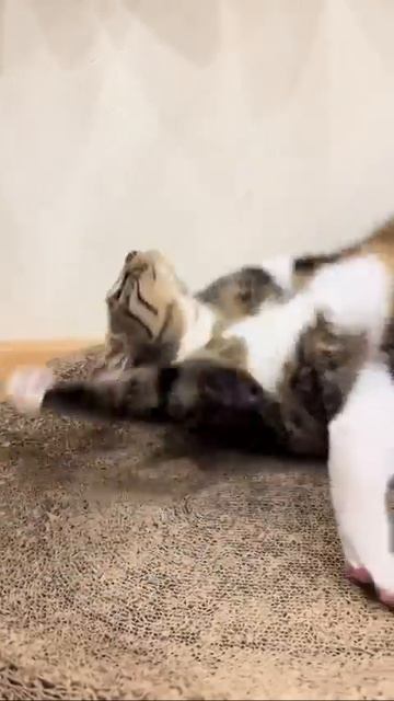 Удобно😍
