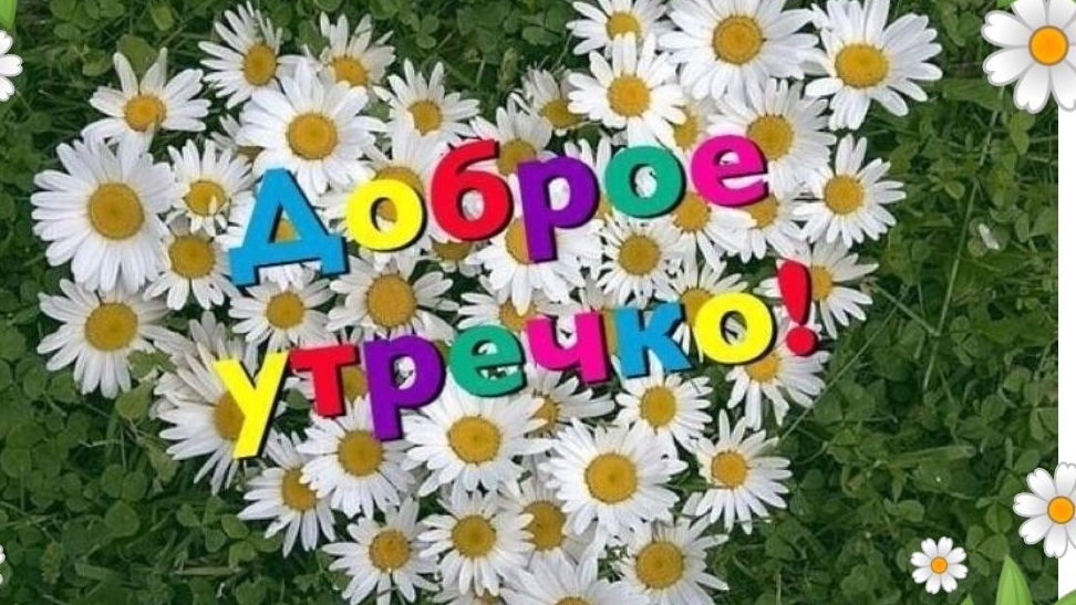 С добрым,летним утром!