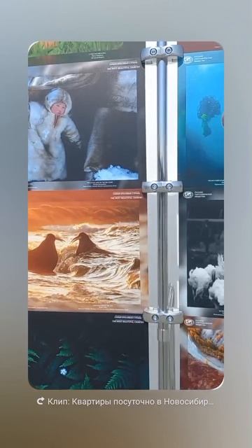 Красивая выставка на Михайловской набережной в Новосибирске