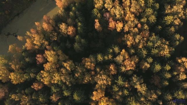 Удивление не отпускает, пока звучит этот мощный саунд - Oouu La La -- SUPERARE -- VII