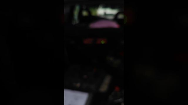 магнитова в черри