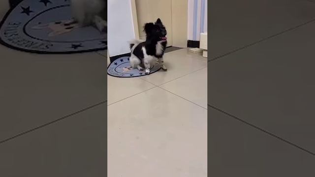 VID-20250613-WA0830