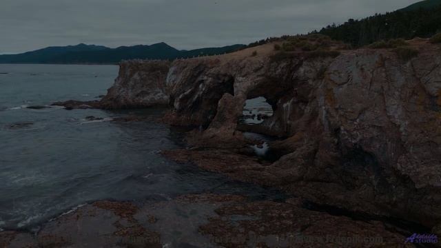 Эта композиция идеально сочетается с лесами - There He is Bridge -- New Millennium String Band -- NM