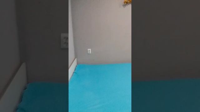 Продам студия в Сочи.