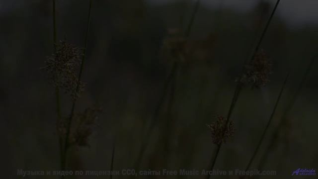 Саунд окутывает, как туман над лесами - Track 07 -- Berbere Superstar -- The Best Things Are Never R