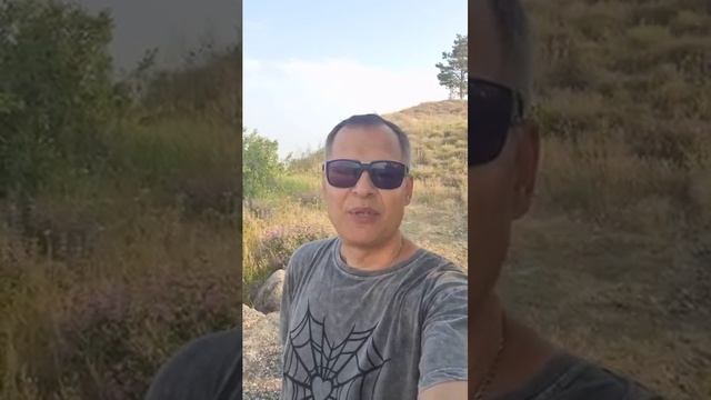 В Крыму рекордные брони