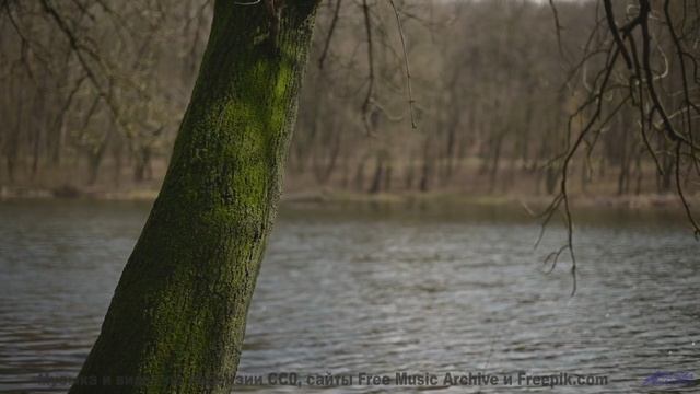 Когда музыка звучит так же мощно, как прибой! - Moving Forward -- Scott Holmes Music -- Music for TV