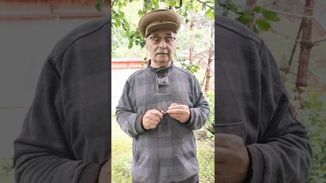Германия захватила Париж. Записки из Тургеневских мест Отшельника Мценского уезда.