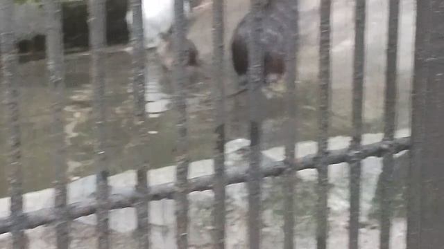 1000007088.mp4