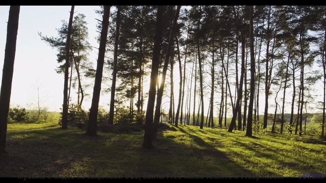 Ты НЕ ЗНАЛ, что природа ТАКАЯ! - Spirit Walk With Me -- Ketsa -- The Lost Files