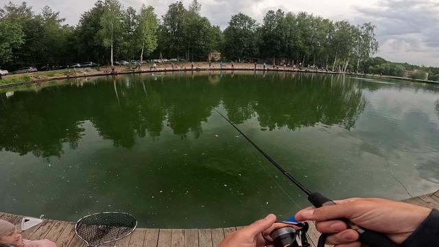 Рыбалка с дочкой на ITC Arena (Парус Север). Тестим Timon, Roix Spotty и Office Eucalyptus.