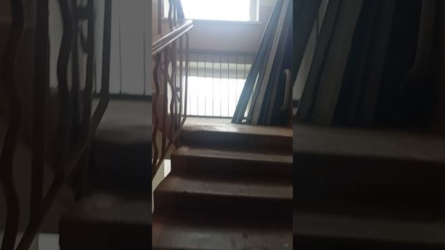 VID20250614140811[1]