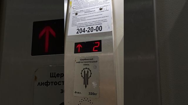 квартира