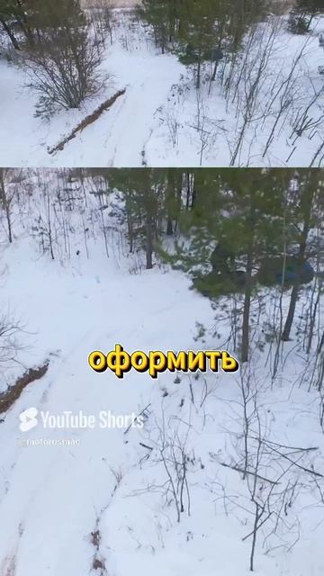 КАК ПОЯВИЛИСЬ СНЕГОДЫ В СССР