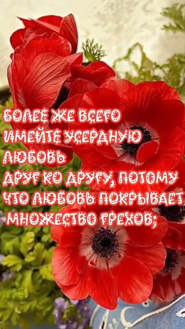 VID_20250614_142742_926.mp4