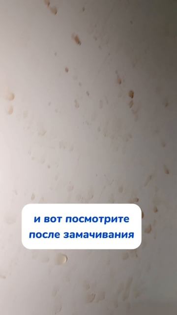 Собрали 5 мешков грибов за 2 часа
