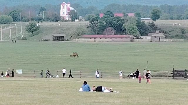 Кудыкина гора. Липецкая область.