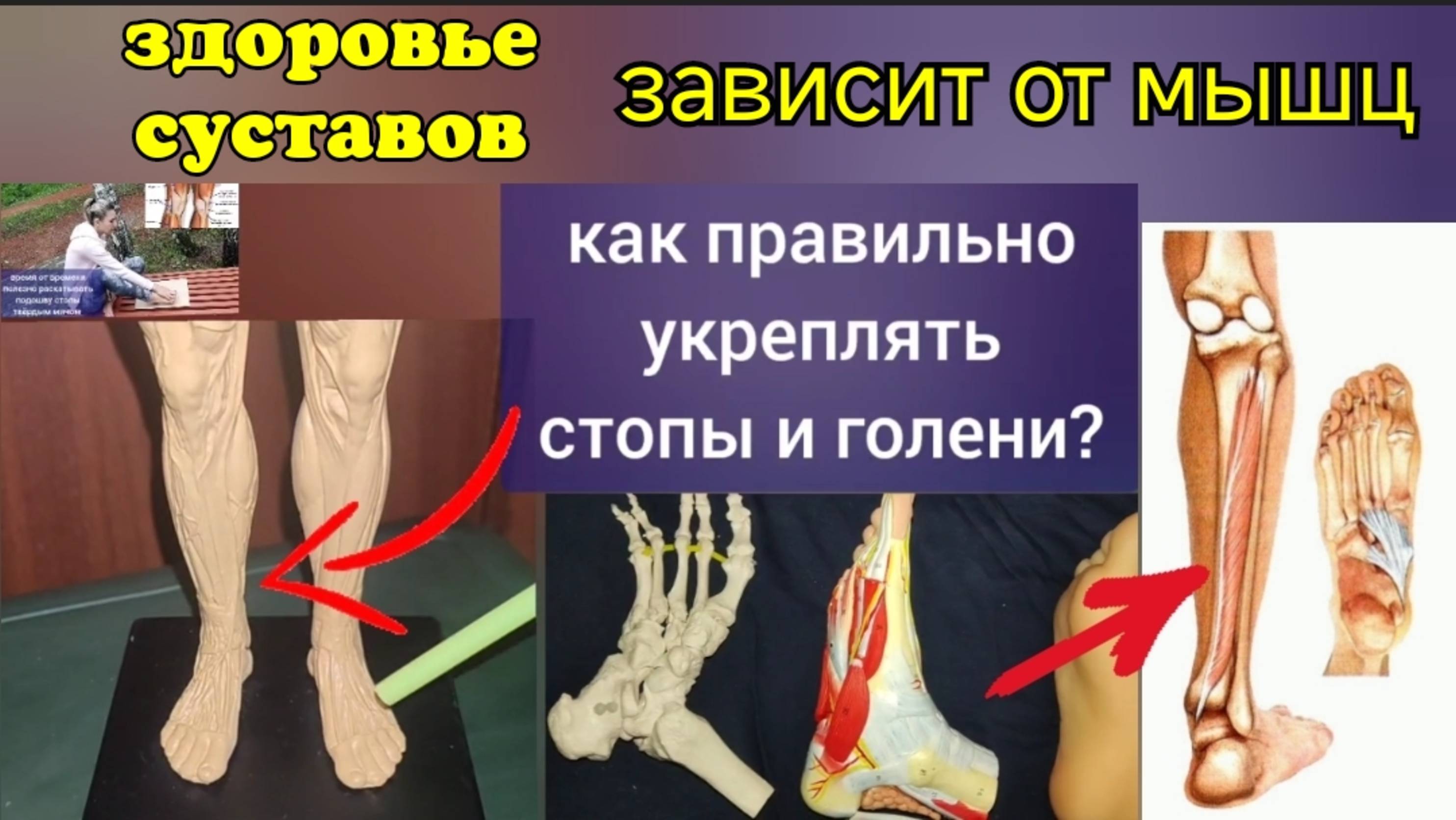 Ноги деградируют от плоскостопия. Ключ к здоровья стоп = ЗББ-мышца. Секреты укрепления
