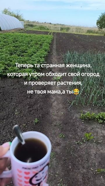 Огород