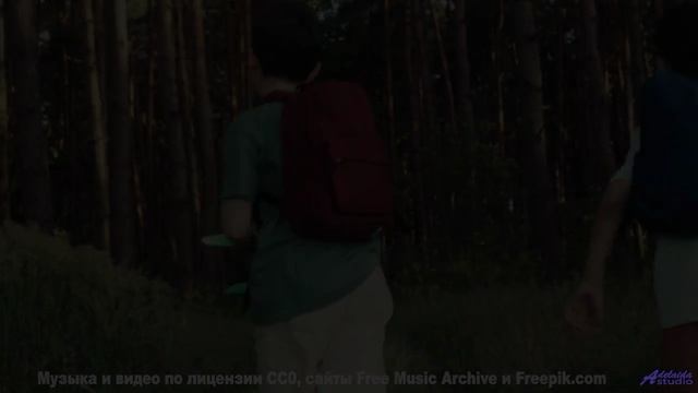 Музыка наполняет жизнь красками под эти виды - Weeblewobble -- Podington Bear -- Said Lion To Lamb (