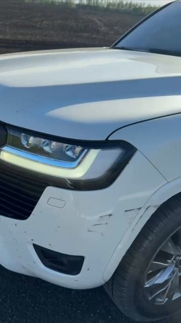 Перегрели штатные тормоза на Land Cruiser 300