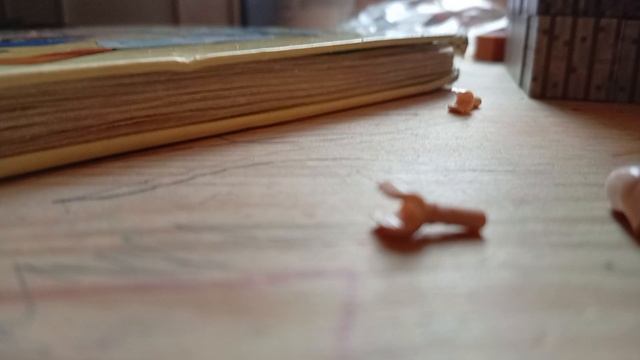 1000000529.mp4
